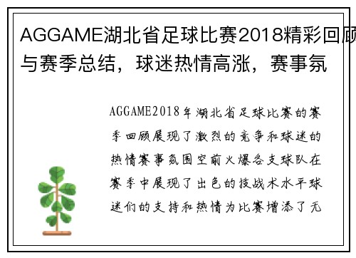 AGGAME湖北省足球比赛2018精彩回顾与赛季总结，球迷热情高涨，赛事氛围火爆