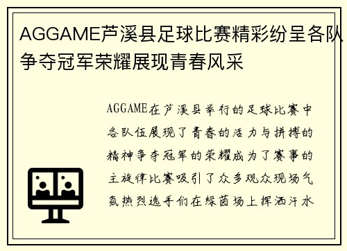 AGGAME芦溪县足球比赛精彩纷呈各队争夺冠军荣耀展现青春风采