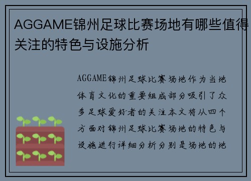 AGGAME锦州足球比赛场地有哪些值得关注的特色与设施分析