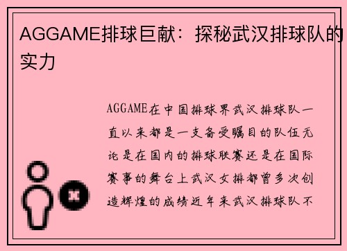 AGGAME排球巨献：探秘武汉排球队的实力